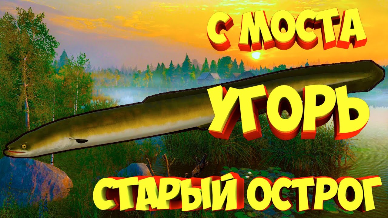 Рр3 волга угорь