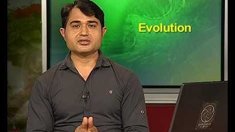 The Oparin and Haldane Experiment