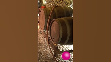 What Is White Zinfandel? #wine #shorts