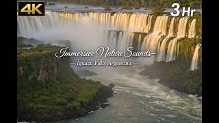 Nature Music by the Iguazu Falls  | 3 Hr |