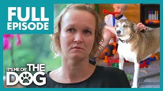 Genezing van lichtobsessie en hondenagressie! | Volledige aflevering | Het is ik of de hond