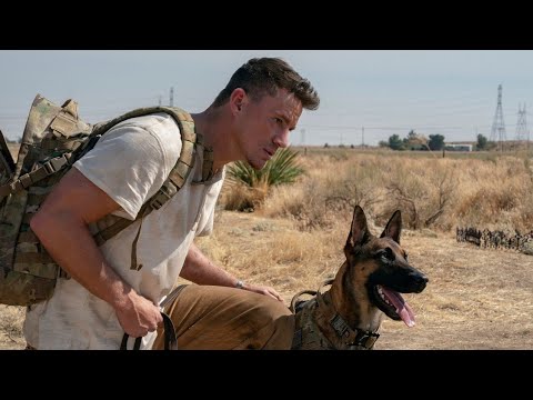 Video: Pet Scoop: Crews Lag hunden fra farlig terreng, krigshunden returnerte til Ohio soldat