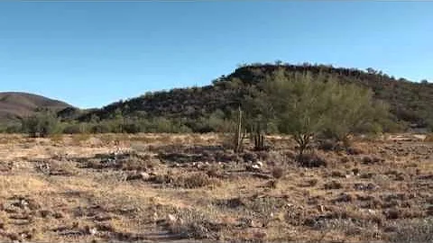 Sonora Mexico Monster Mule Deer Part 2 Seg 4