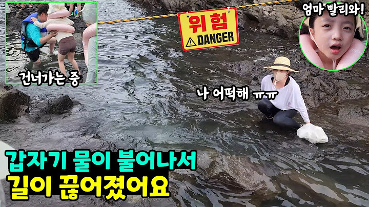 놀고 있는데 갑자기 물이 불어나서 길이 끊겼어요! 다 건너오고 뚜맘만 남은 상황.. 가족일상 제주도여행 브이로그 / 뚜아뚜지TV