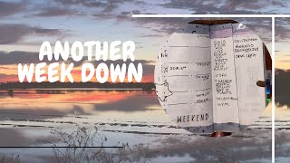 End of week check in| July 2023 | Staloweeks | Bullet journal