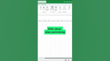 The FAST Way to Filter Data with Excel Slicers! #exceltips #productivity #efficientdatahandling