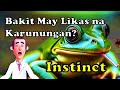 Bakit May Likas na Karunungan? (Instinct)