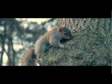 REDNEK FEAT. SEAN BYRNE - CONSPIRACY (OFFICIAL VIDEO)