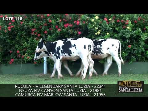 SANTA LUZIA   LOTE 118