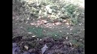 GSLDC - AHMEDABAD, TA-DETROJ, VILL-DANGARVA, SURVEY NO 363, BEFORE WORK