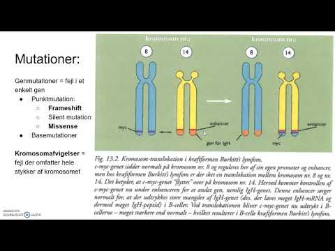 Video: Forskjellen Mellom Genuttrykk Og Genregulering