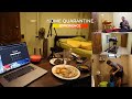 Home quarantine of a travel vlogger  vlog 909  food workout entertainment job etc