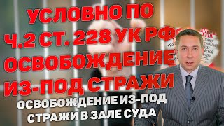 Условное наказание по части 2 статьи 228 УК РФ с освобождением подсудимого из-под стражи в зале суда