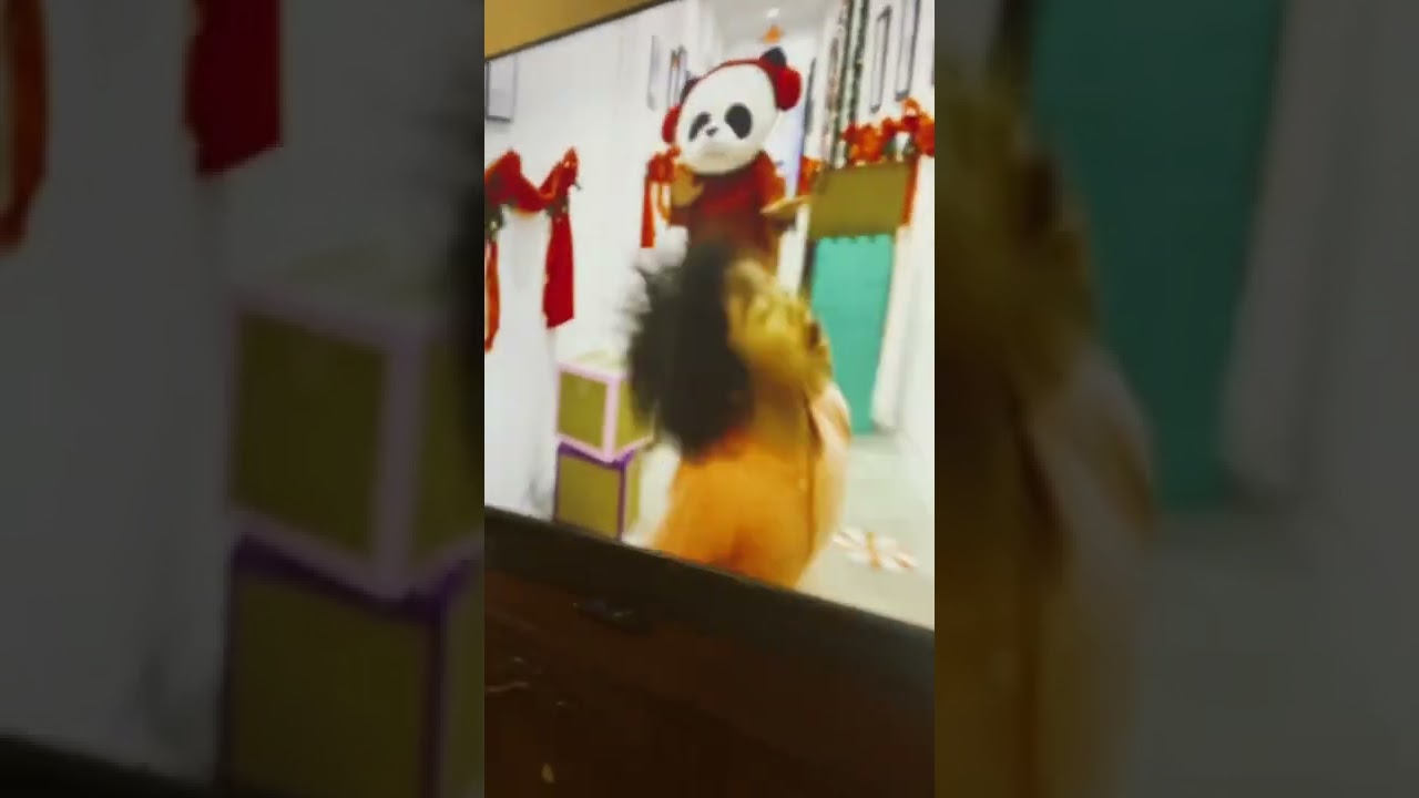 Every copy of Ryan’s toys review is personlized