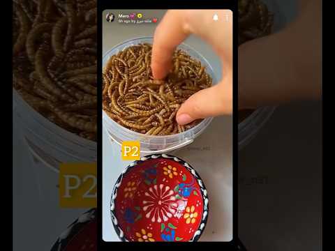 2 تكملة مقلب عائلة ميرو في ميمي   عائلة ميرو مقلب   