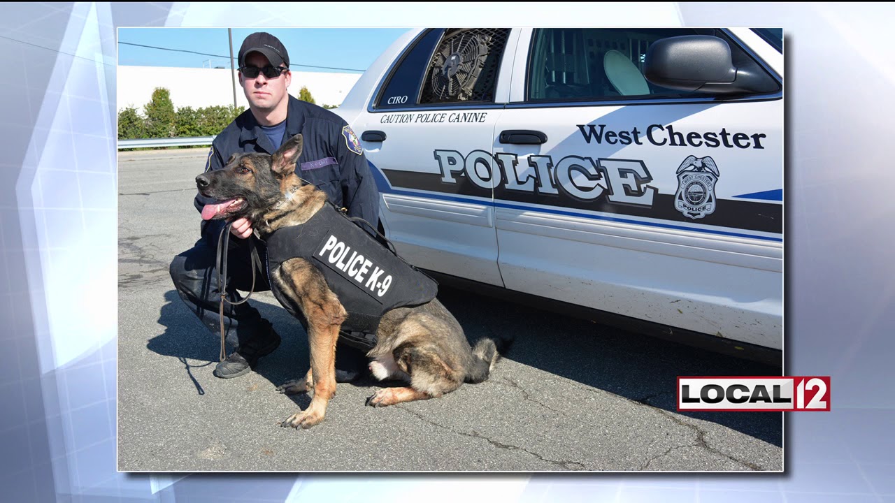 West Chester police dogs get protective vests - YouTube