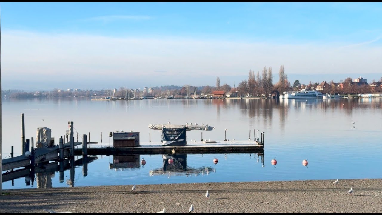My Visit to Zug (02.12.2025)