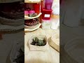🌱 ASMR stock daun salam kering buat masak 🌸 #dailyvlog #asmr #youtubeshorts #minivlog