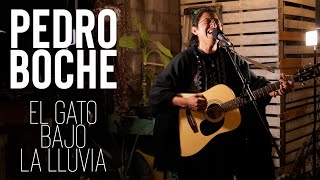 Pedro Boche  El Gato Bajo La Lluvia (cover)