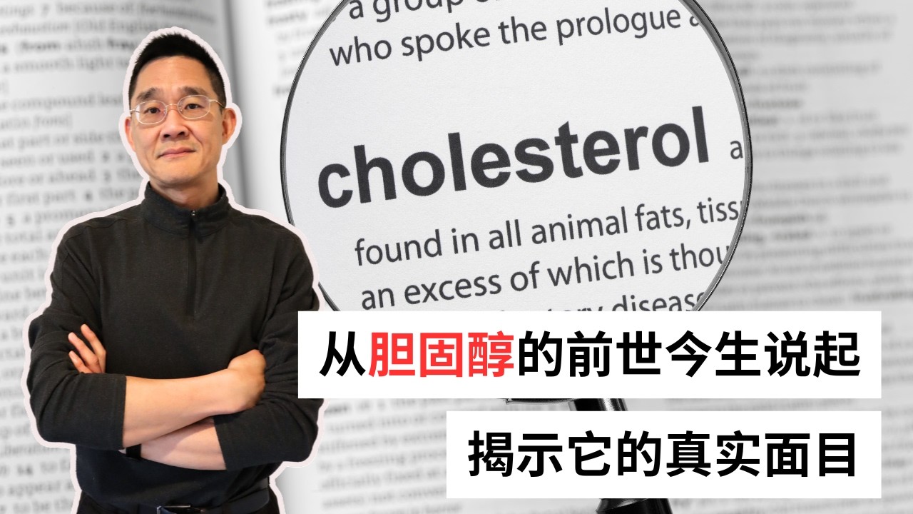 Ep 93 为什么我们盯着 LDL，却没能阻止心血管疾病的浪潮？｜胆固醇