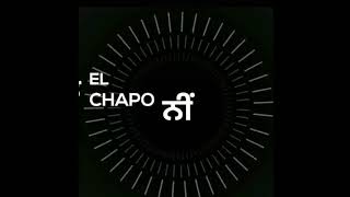 chapo el background whatsapp