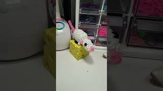 Rat Loomigurumi 🐀 Rainbow Loom  #rainbowloom #loombandbracelet  #loomband #loomigurumi