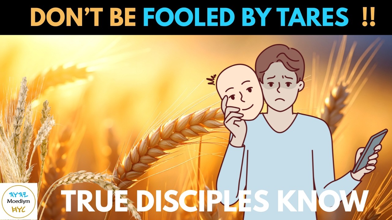 CAN YOU Tell Counterfeits?!  Parable of the Wheat and Tares EXPLAINED  #parablesofjesus #yeshua