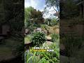 Serene aquascape ecosystem pond in Greenville SC