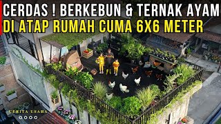 UBAH LAHAN SEMPIT DENGAN BERKEBUN DAN TERNAK AYAM DI ATAS ATAP RUMAH HIDUP JADI HEMAT | CERITA USAHA