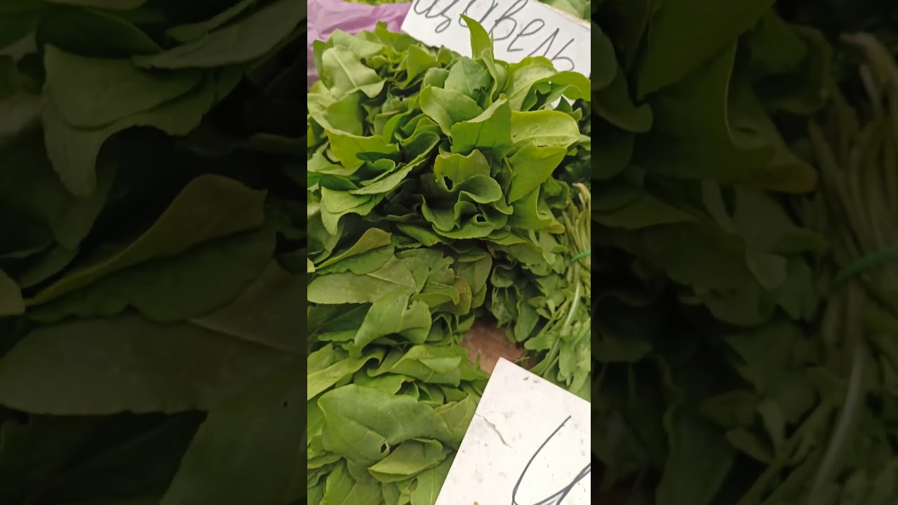 Цены на ЗЕЛЕНЬ. Рынок г. Павлоград