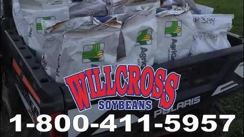 Harvest Wrap Up 2016 - Willcross Soybeans & AgriGold Corn