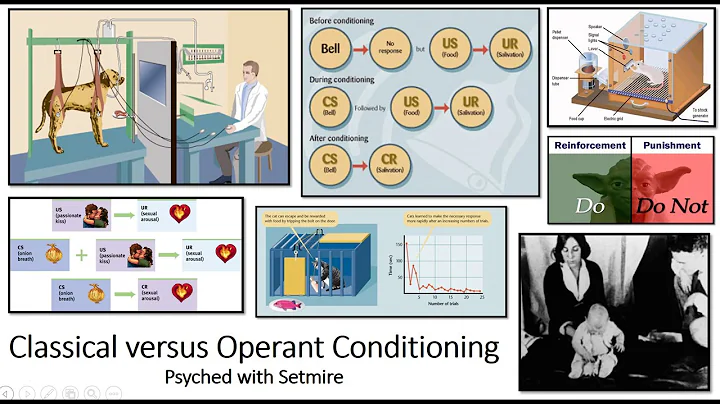 Classical vs Operant Conditioning (Key Differences) | Psyched with Setmire