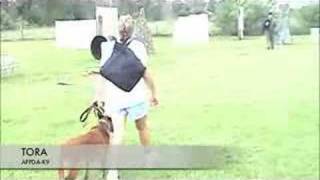 APPDA-K9 TORA Protection work 
