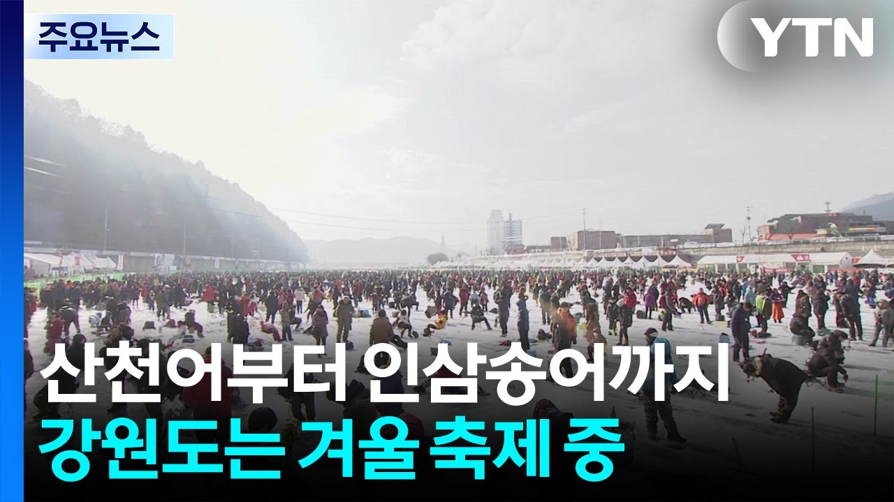 산천어부터 인삼송어까지...강원도는 겨울 축제 중 / YTN