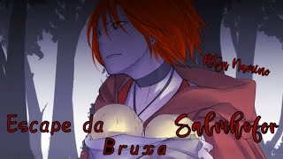 Escape of Salmhofer the Witch, The Escape of the Witch Salmhofer