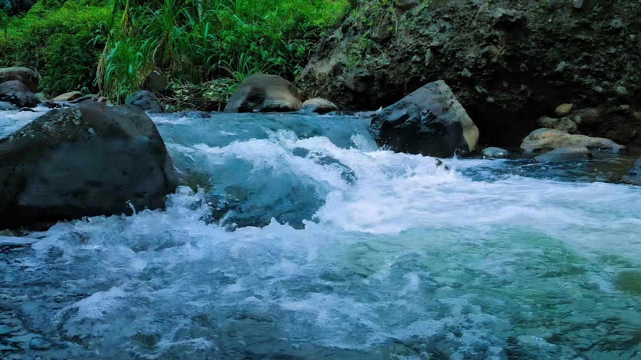 Peaceful Nature River Flow with Gentle Bird Sounds for Deep Sleep and Meditation | Study Focus