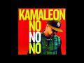 Kamaleon No No No Extended Mix DJ Flo