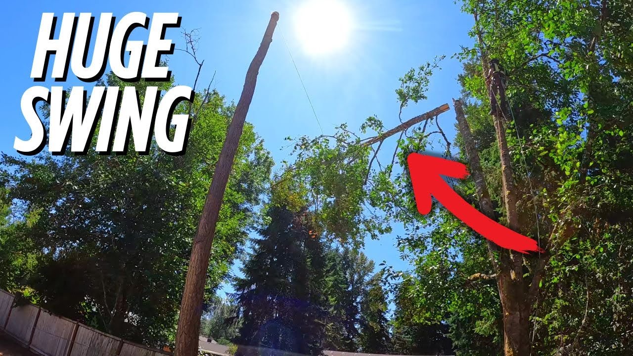 BEST Tree Rigging Gear For Swinging These HUGE Tree Tops!