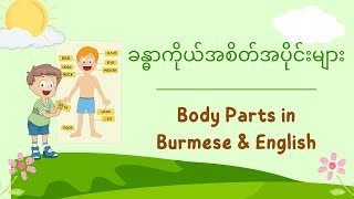 ခန္ဓာကိုယ်အစိတ်အပိုင်းများ - Body Parts in Burmese & English