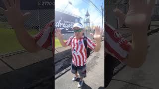 Pedregoso