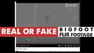 Brown FLIR Bigfoot Footage (analysis)