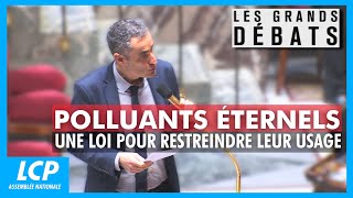 Polluants éternels : une loi pour restreindre leur usage | Les grands débats