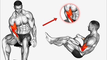 The best 5 Biceps exercise with towel at home