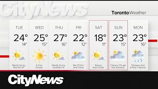 Sunny and hot this week in the GTA