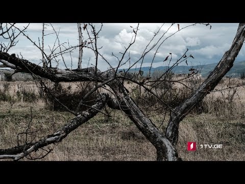 ცხოვრება საოკუპაციო ზოლთან