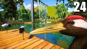 Making a Wetlands Habitat for the HUGE Red-Crowned Crane