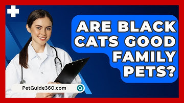 Are Black Cats Good Family Pets? - PetGuide360.com