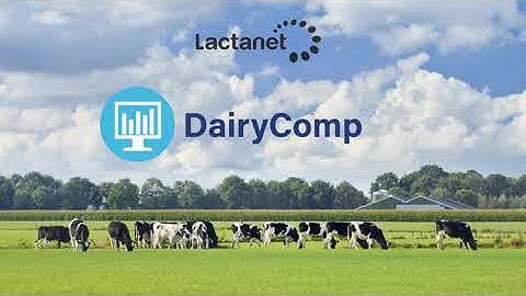 DairyComp Tutorial: Introducing the NEW Platform