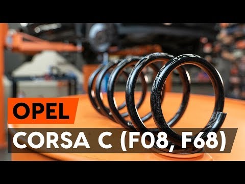 Opel Corsa C Bagāžnieka Durvju Spoileris, OPEL CORSA C, OPEL, Shop