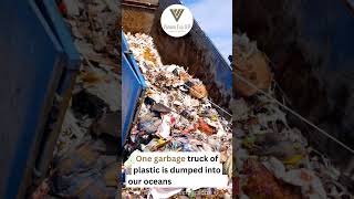 Use Vanam Eco compostable products